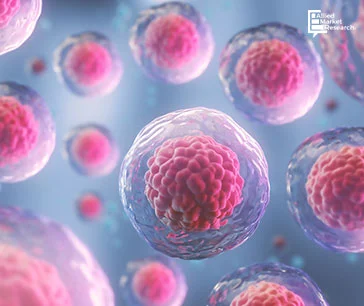Visual representation of cell molecules in bubble