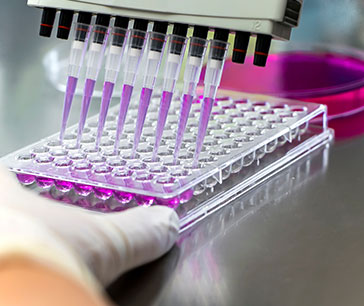 Tray of small test tubes