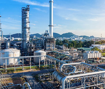 Bioeconomy and renewable