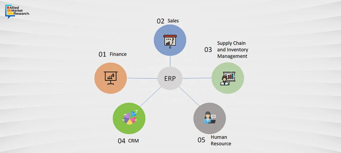 ERP system in chemical industry