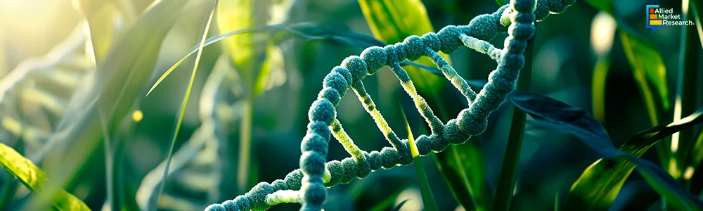 A DNA strand lying in the grass.