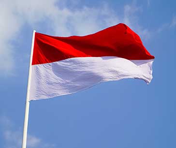 Flag