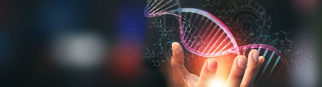 Visualization of DNA structure with a human hand