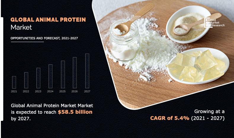 Animal-Protein-Market _NEW