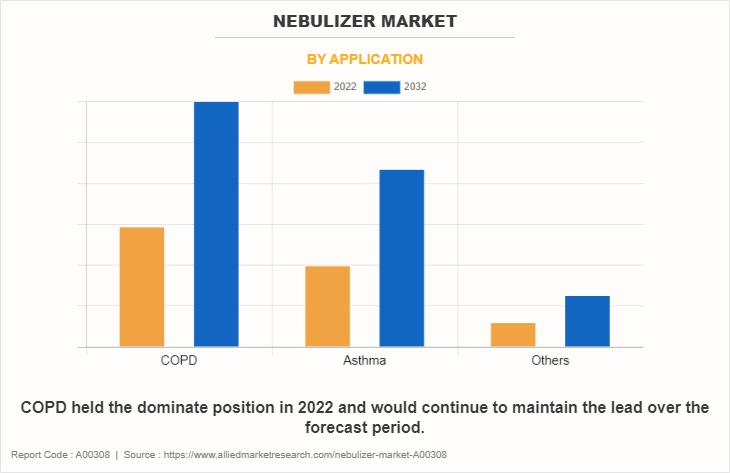 Nebulizer Market by Application