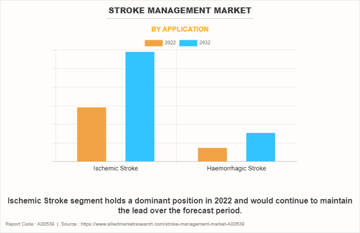 Stroke Management Market by Application