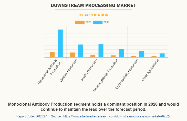 Downstream Processing Market by Application