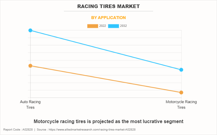 Racing Tires Market by Application