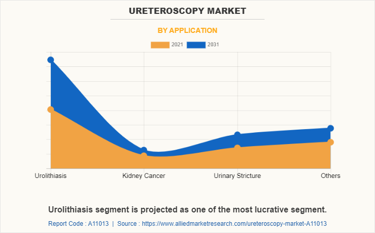 Ureteroscopy Market by Application