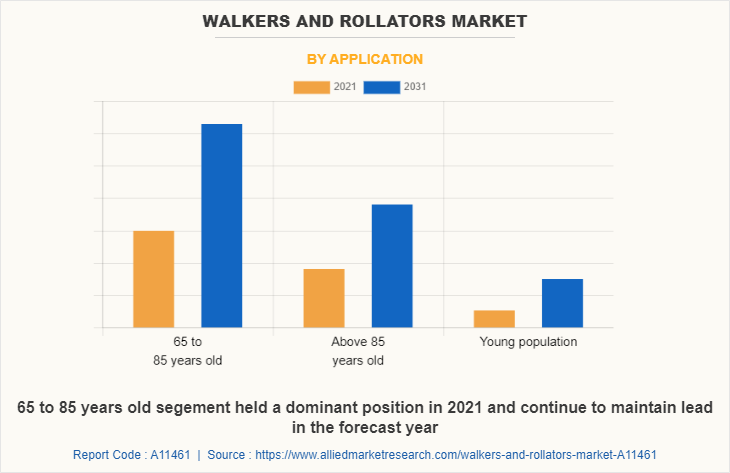 Walkers and Rollators Market by Application