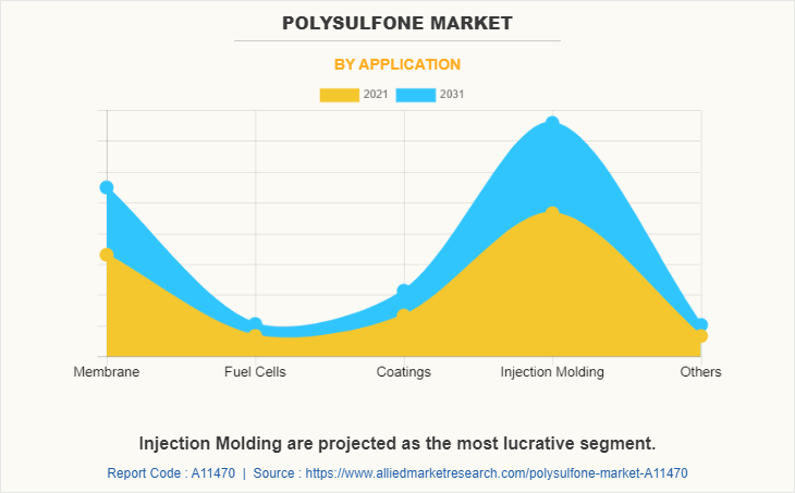 Polysulfone Market by Application