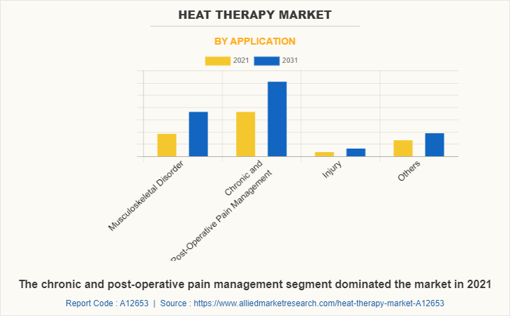 Heat Therapy Market by Application
