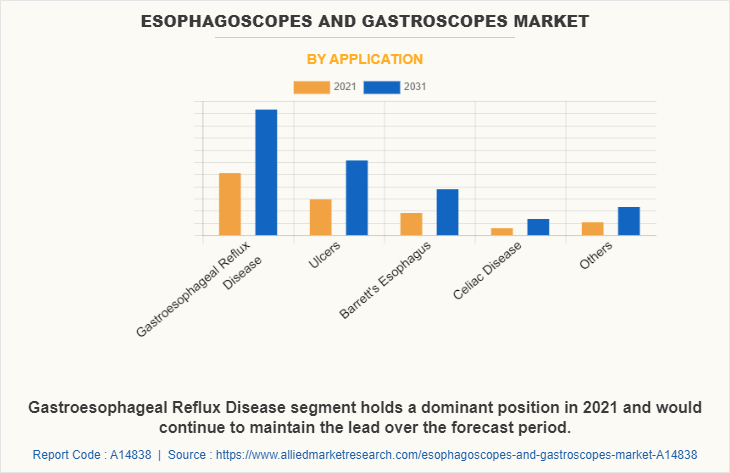 Esophagoscopes and Gastroscopes Market by Application