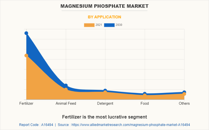 Magnesium Phosphate Market by Application