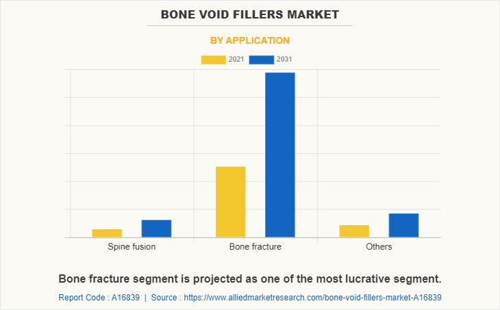 Bone Void Fillers Market by Application