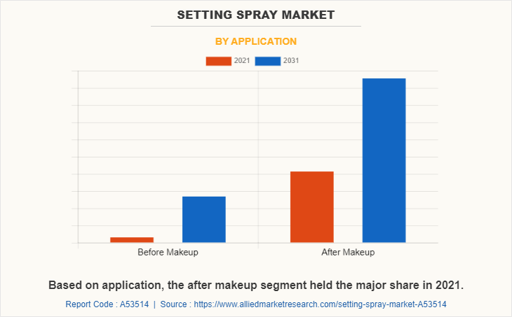 Setting Spray Market by Application