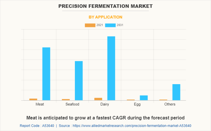 Precision Fermentation Market by Application