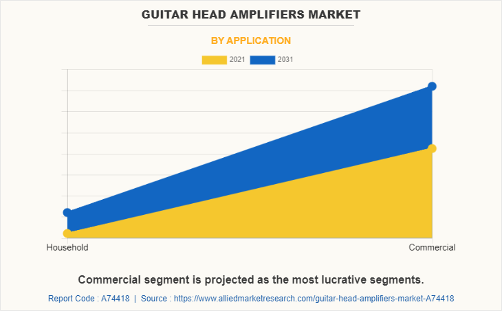 Guitar Head Amplifiers Market by Application