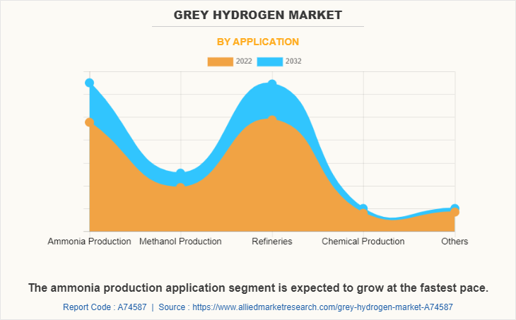 Grey Hydrogen Market by Application