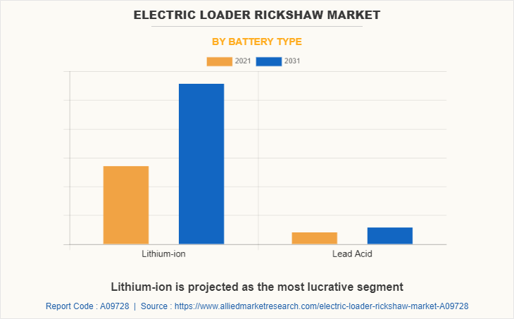 Electric Loader Rickshaw Market by Battery Type