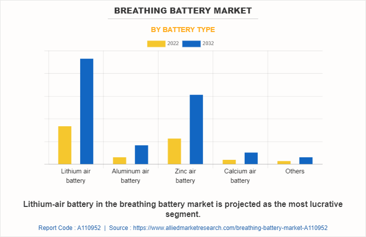 Breathing Battery Market by Battery Type