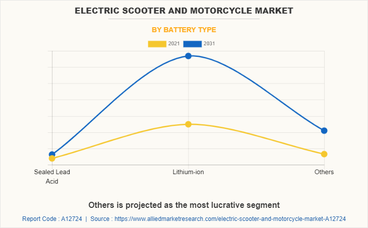 Electric Scooter and Motorcycle Market by Battery Type