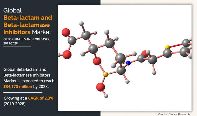 Beta-lactam and Beta-lactamase Inhibitors Market