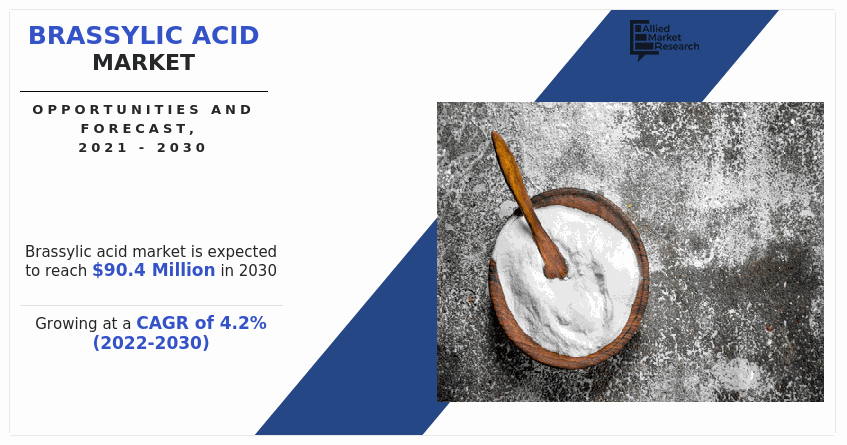 Brassylic Acid Market, Brassylic Acid Market Size, Brassylic Acid Market Share, Brassylic Acid Market Trend, Brassylic Acid Market Forecast, -, -, -
