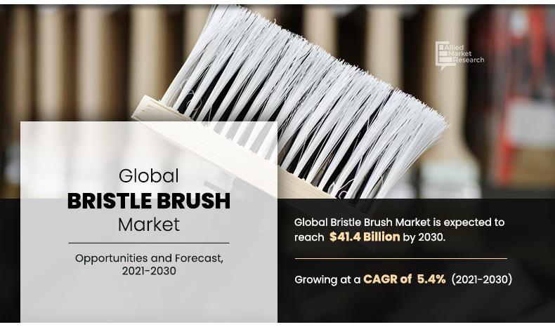 Bristle-Brush-Market