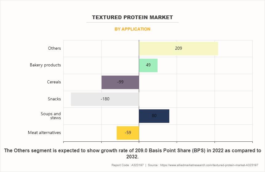 Textured Protein Market by Application