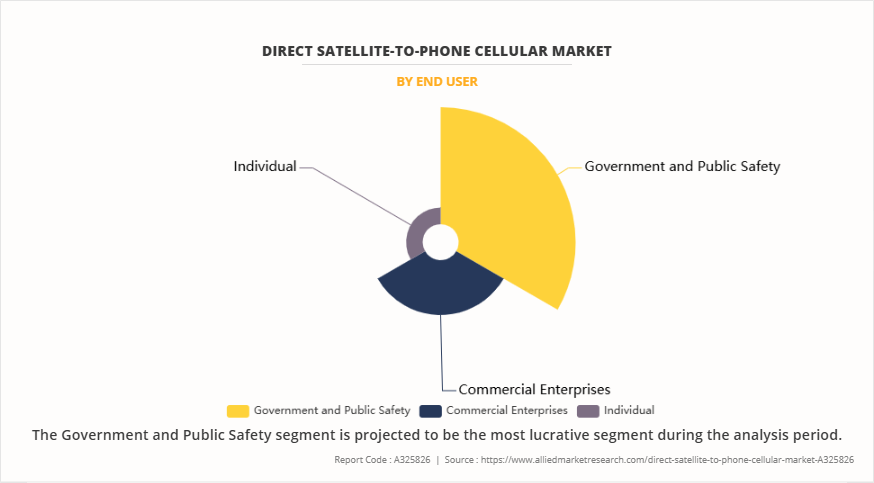 Direct Satellite-To-Phone Cellular Market by End User