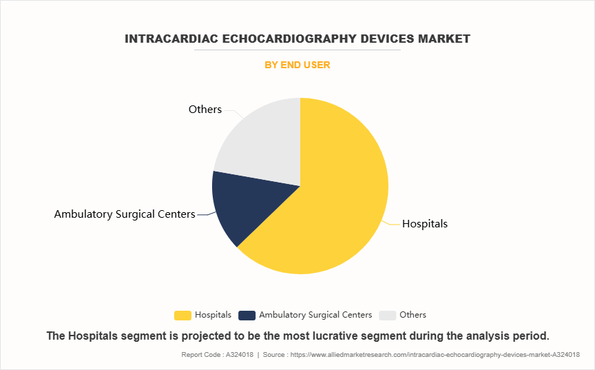 Intracardiac Echocardiography Devices Market by End User