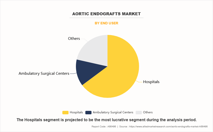 Aortic Endografts Market by End User
