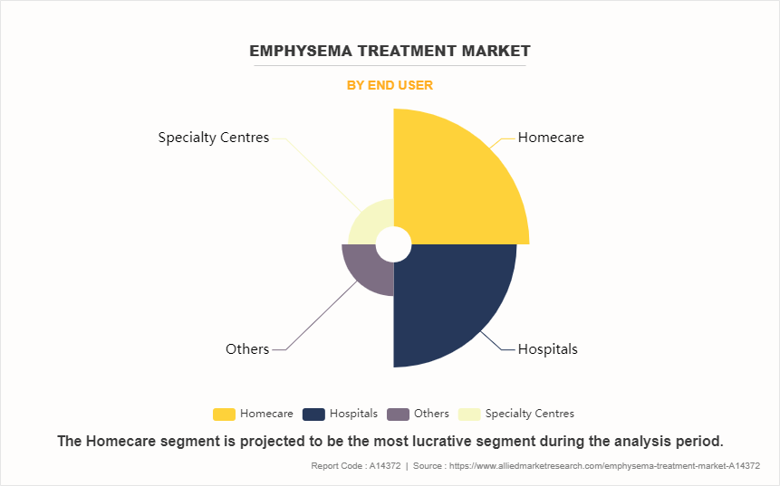 Emphysema Treatment Market by End User