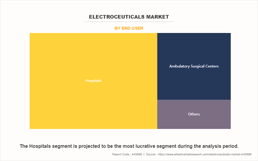 Electroceuticals Market by End User