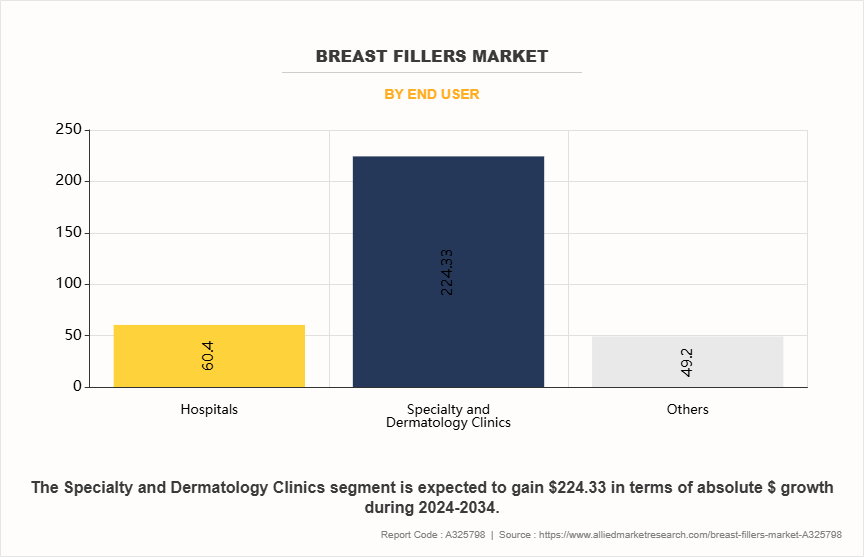 Breast Fillers Market by End User