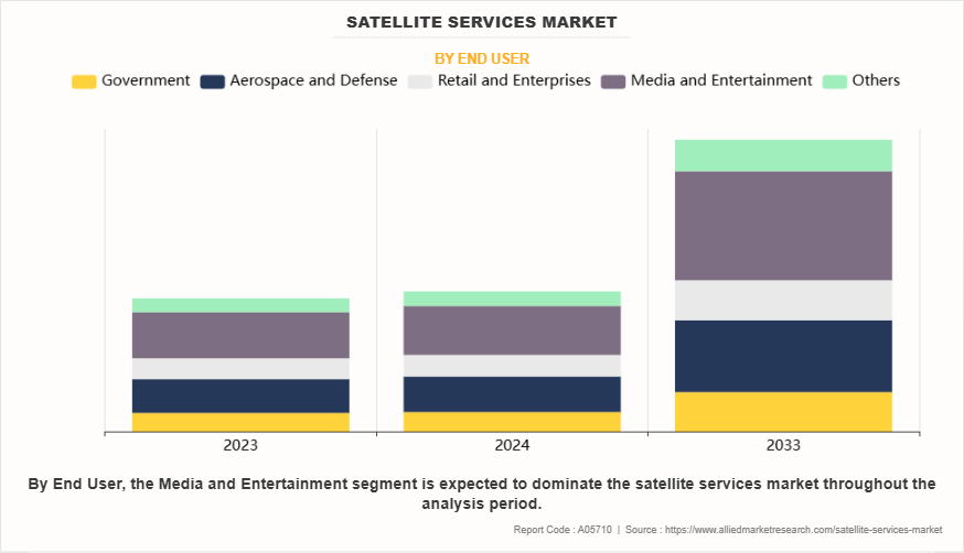 Satellite Services Market by End User