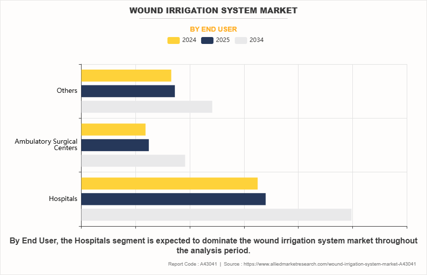 Wound Irrigation System Market by End User
