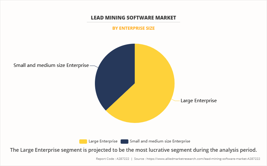 Lead Mining Software Market by Enterprise Size