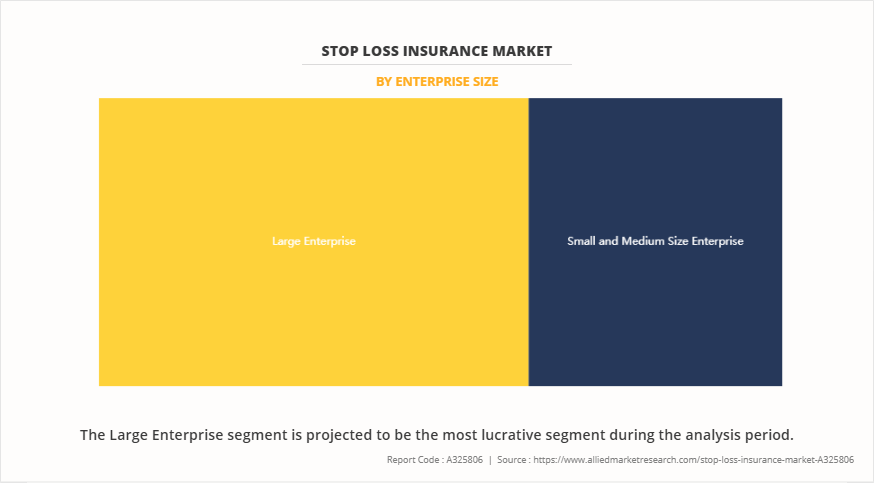 Stop Loss Insurance Market by Enterprise Size