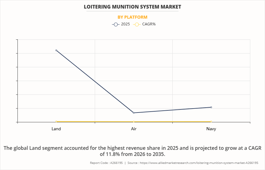 Loitering Munition System Market by Platform