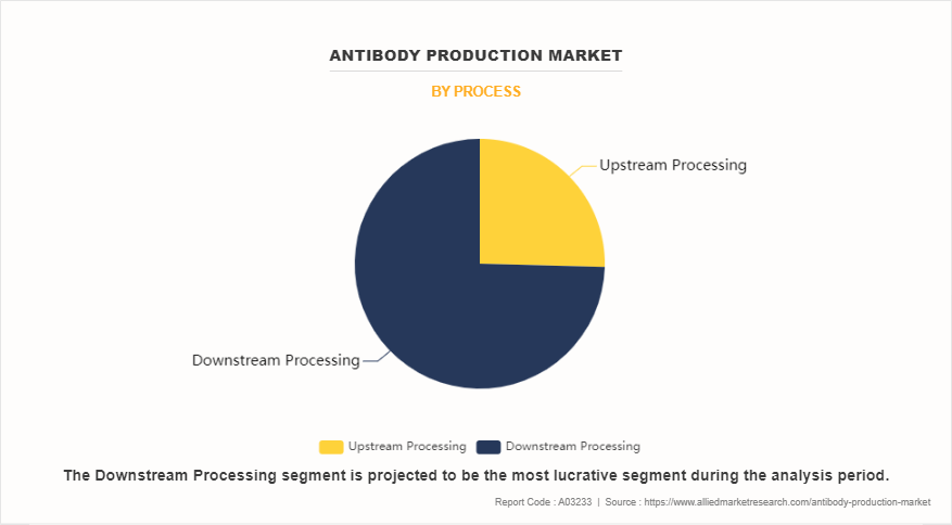 Antibody Production Market by Process