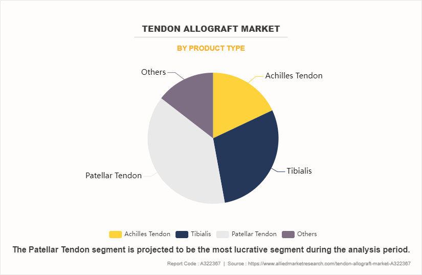Tendon Allograft Market by Product Type