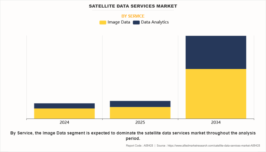 Satellite Data Services Market by Service