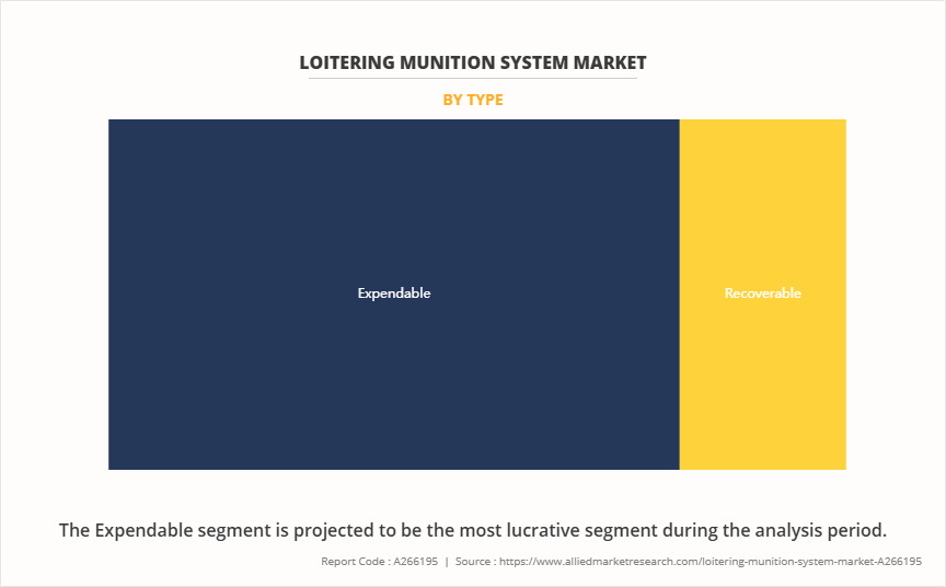 Loitering Munition System Market by Type