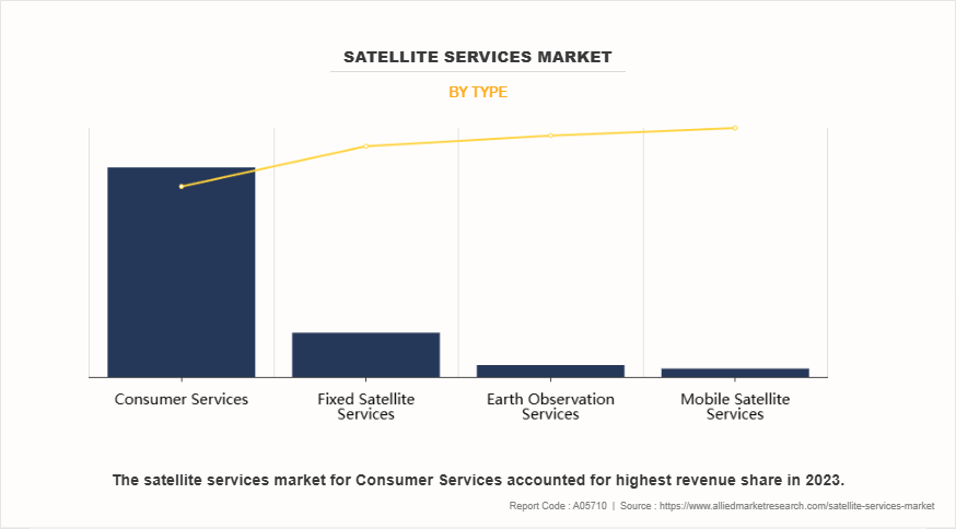 Satellite Services Market by Type