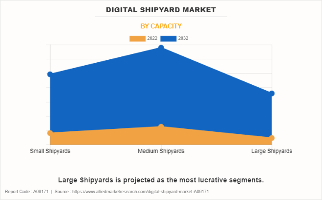 Digital Shipyard Market by Capacity