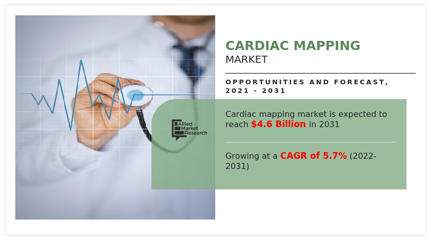 Cardiac Mapping Market