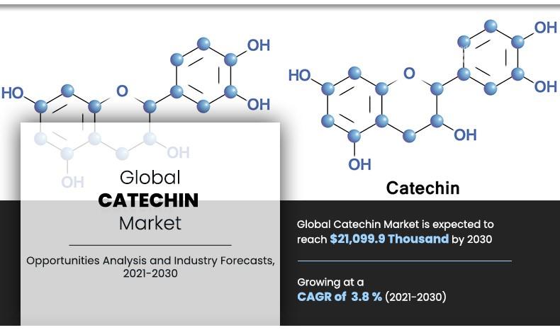 Catechins Market	