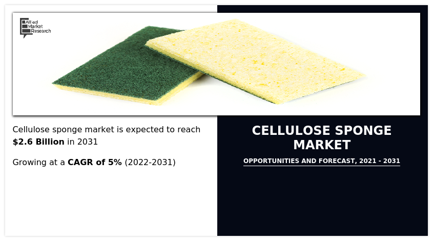 Cellulose Sponge Market Size, Share Growth 2031